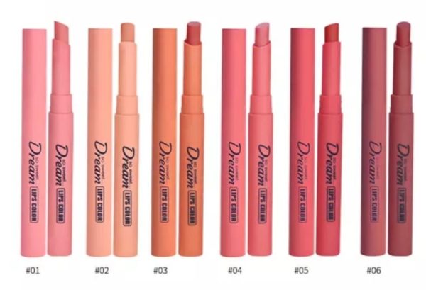 Heng Fang Silky Touch Refreshing Matte Dream Lipstick Pack Of 6